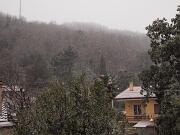 2019-01-23  ore 7-50 Loc. Piedimonte-Gorizia001