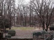 2019-01-23  ore 8  Loc. Piedimonte-Gorizia002