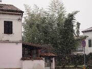 2019-01-23  ore 9  Gorizia  Via Aquileia001