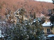 2019-01-24  ore  8  Loc. Piedimonte-Gorizia06