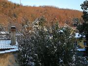 2019-01-24  ore  8 Loc. Piedimonte-Gorizia02