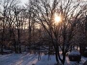 2019-01-24  ore 8  Loc. Piedimonte-Gorizia01