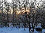 2019-01-24  ore 8  Loc. Piedimonte-Gorizia03