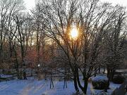 2019-01-24  ore 8  Loc. Piedimonte-Gorizia04