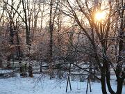 2019-01-24  ore 8  Loc. Piedimonte-Gorizia07