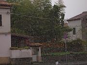 2020-12-02 ore 1030 Gorizia